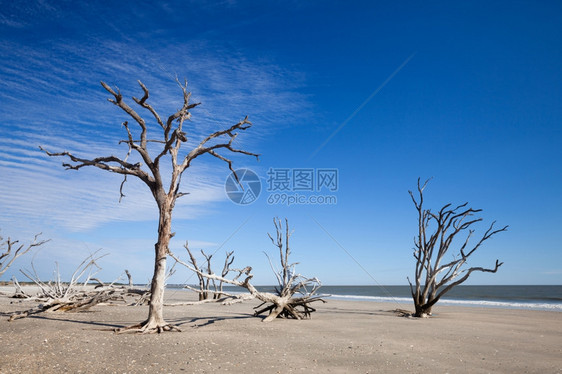 美国南卡罗来纳州埃迪斯托岛伊植物湾海滩图片