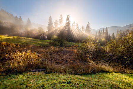 在山丘的迷雾秋天清晨图片