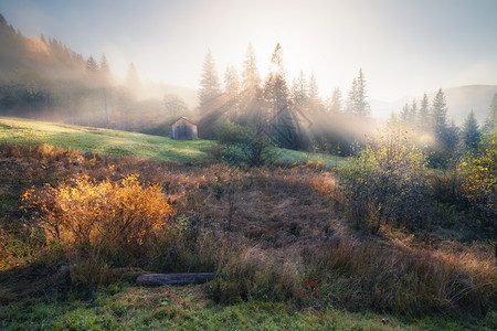 在山丘的迷雾秋天清晨图片