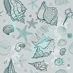 海贝壳无缝模式海贝壳无密封模式图片