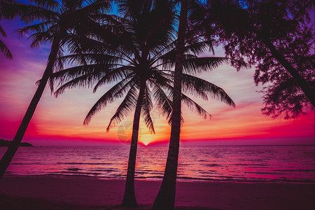 日落热带海滩美丽的日落图片