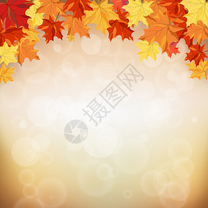含有树叶的秋季框架图片