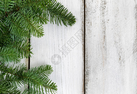 真正的诺贝尔法树枝在生锈的白木板上圣诞节的概念图片