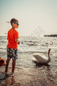 泼水男孩小男孩在海边的沙滩上吃小天鹅暑假放松背景