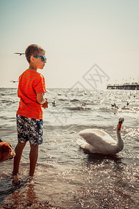 小男孩在海边的沙滩上吃小天鹅暑假放松图片