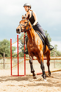 女骑师马培训体育活动跃的女骑师马培训跳过围栏的骑马培训术比赛和活动图片
