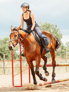 女骑师训练马运动女师训练马跳过栅栏比赛图片