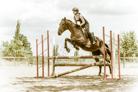 女骑师马培训体育活动跃的女骑师马培训跳过围栏的骑马培训术比赛和活动图片