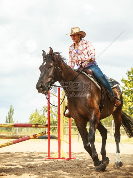 西部女牛仔训练骑马运动活跃西部女牛仔训练骑马跳过围栏术比赛和活动图片