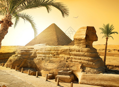 斯芬克附近的棕榈和埃及沙漠金字塔的图片
