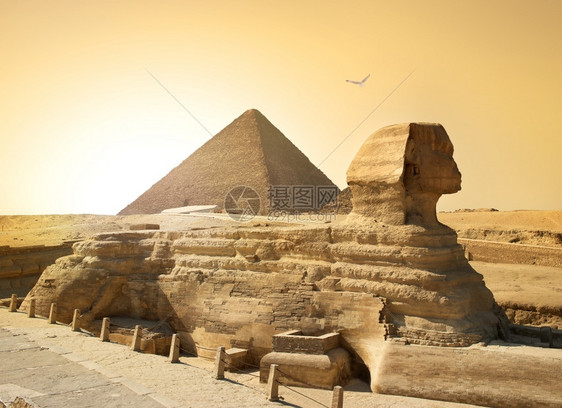 在埃及沙漠中的斯芬克和金字塔上的鸟图片