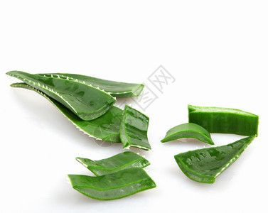 Aloeveraveravera中图片