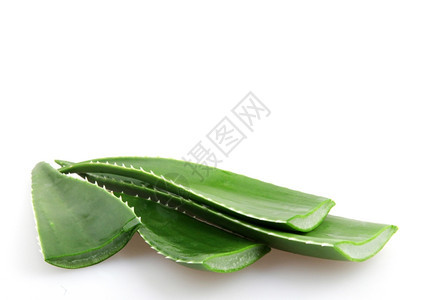 Aloeveraveravera中图片