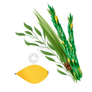 四种物棕榈树柳柠檬象征犹太节日Sukkot的象征图片