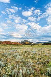 科罗拉多州落基山脉的丘夏末在柯林斯堡附近的红山开放空间图片