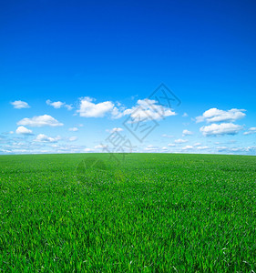 蓝天字幕绿地和蓝天空背景