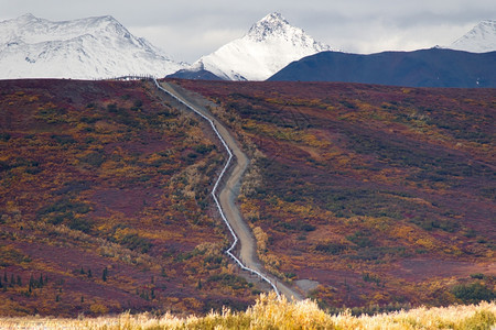 横贯阿拉斯加的管道横跨山区阿拉斯加景观图片