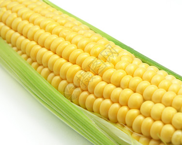 黄色大玉米孤立的玉米健康饮食设计要素背景