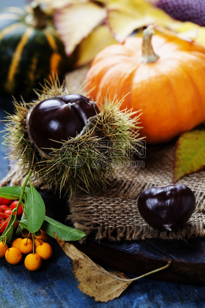 木板上季节水果和蔬菜的秋天概念图片