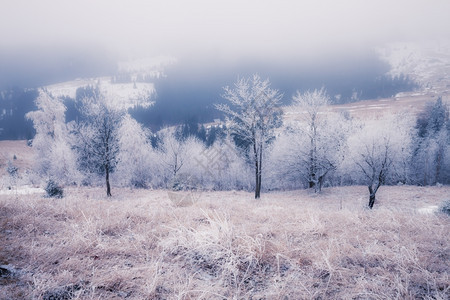 乌克兰冬季山丘图片