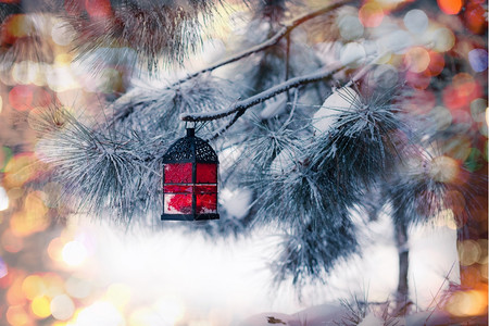 雪树上的红灯笼背景图片