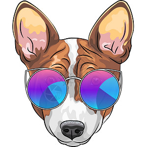 耶克斯多得森定律带眼镜的矢量重度狗巴森吉矢量笑狗巴森吉流行多色