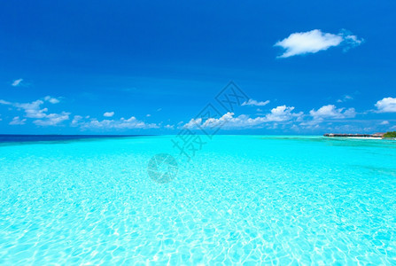 马尔代夫海滩棕榈树和蓝环礁湖很少图片