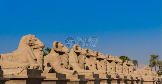 埃及卢克索阿蒙神庙LuxorSphinx大道埃及图片