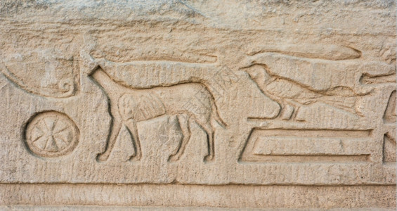雕刻在石头上的古老象形文字埃及寺庙墙的详情图片