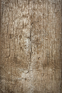 旧木材纹理背景图片