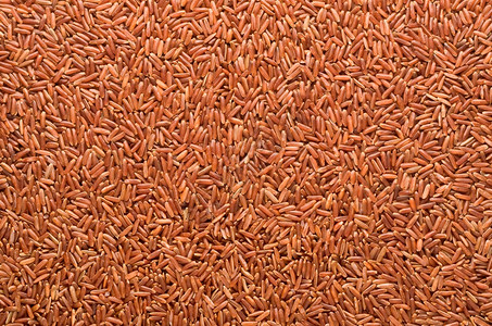 红大米背景图片
