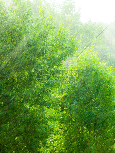 在窗外的夏季雨中水滴在玻璃窗上作为背景纹理图片