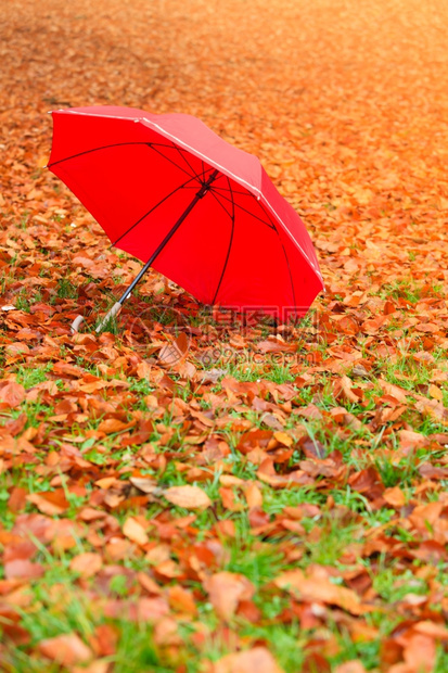 秋天概念健康活跃的生方式秋天的红伞背景图片