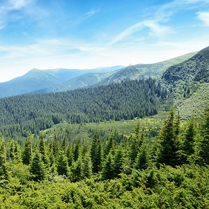 山岳覆盖着树木和蓝天图片