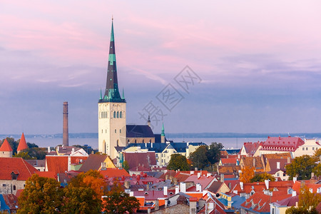 爱沙尼亚塔林中世纪老城和圣奥拉夫浸礼会的空中城市风景图片