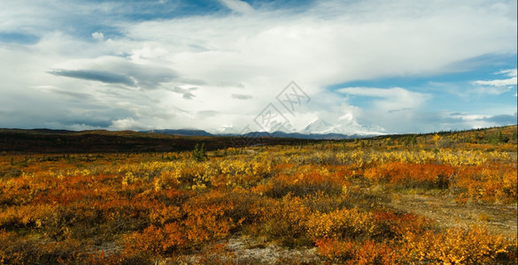 苔原对偏远阿拉斯加的天气反应图片