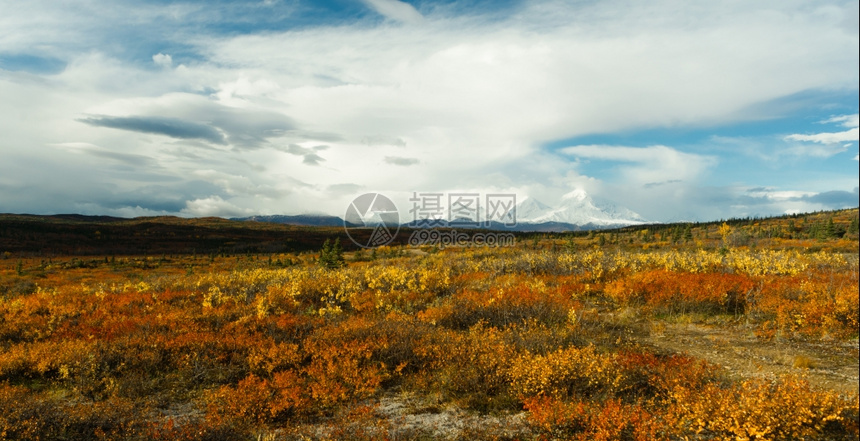 苔原对偏远阿拉斯加的天气反应图片