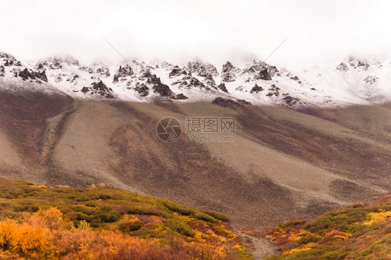 秋天改变阿拉斯加冬季地表覆盖的颜色图片
