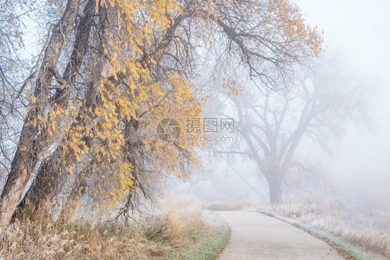 1月早上在一辆自行车小道上科罗拉多州Windsor附近的PoudreRiverTrail落下风景里面有金叶和霜的残骸图片