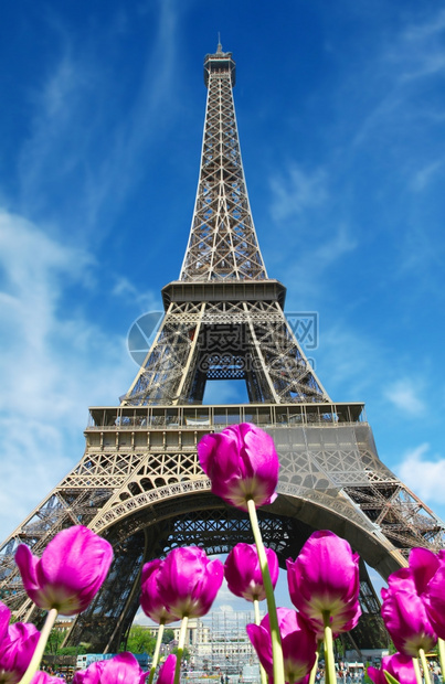 巴黎的游览埃菲尔图片