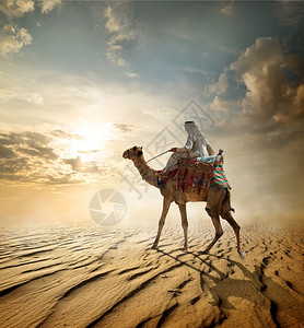 通过沙漠骑骆驼的贝都因人图片