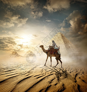雾中金字塔附近骆驼上的贝都因人图片