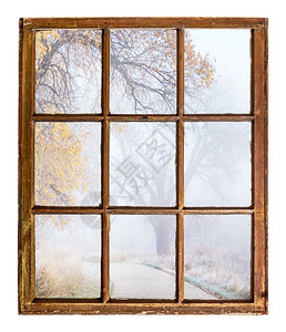 怀旧的秋天景象雾的公园小道古老的树枝窗口抽象视图图片