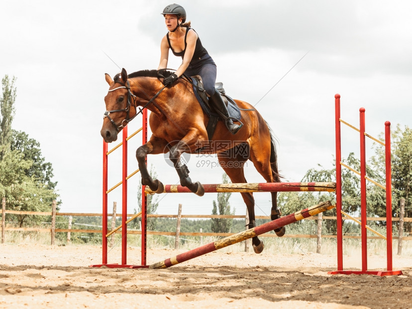 女骑马师培训马跳过围栏的骑马培训术比赛和活动图片