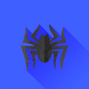 蓝色背景上孤立的蜘蛛灰色圆光影长蜘蛛灰色圆光影图片