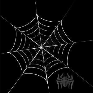 多角灰蜘蛛和HerCobweb多角灰蜘蛛和关于黑背景的HerCobweb图片