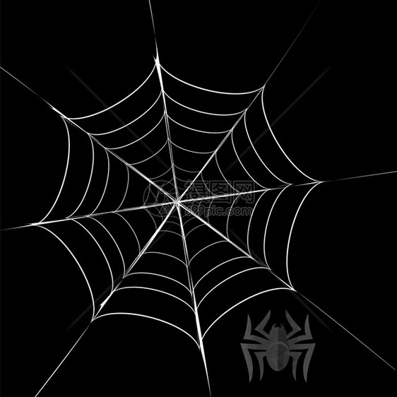 多角灰蜘蛛和HerCobweb多角灰蜘蛛和关于黑背景的HerCobweb图片