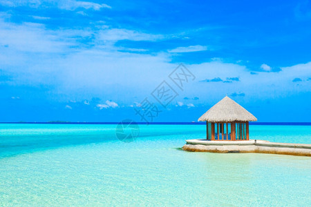 马尔代夫白热带海滩棕榈树和蓝环礁湖很少图片