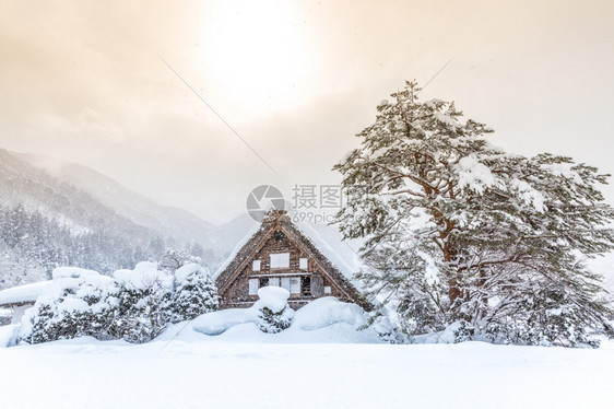 白川戈与下雪冬日图片