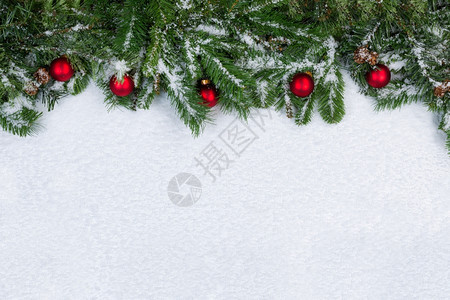 长绿树枝和红装饰品都覆盖在雪中圣诞节的概念有很多复制空间图片